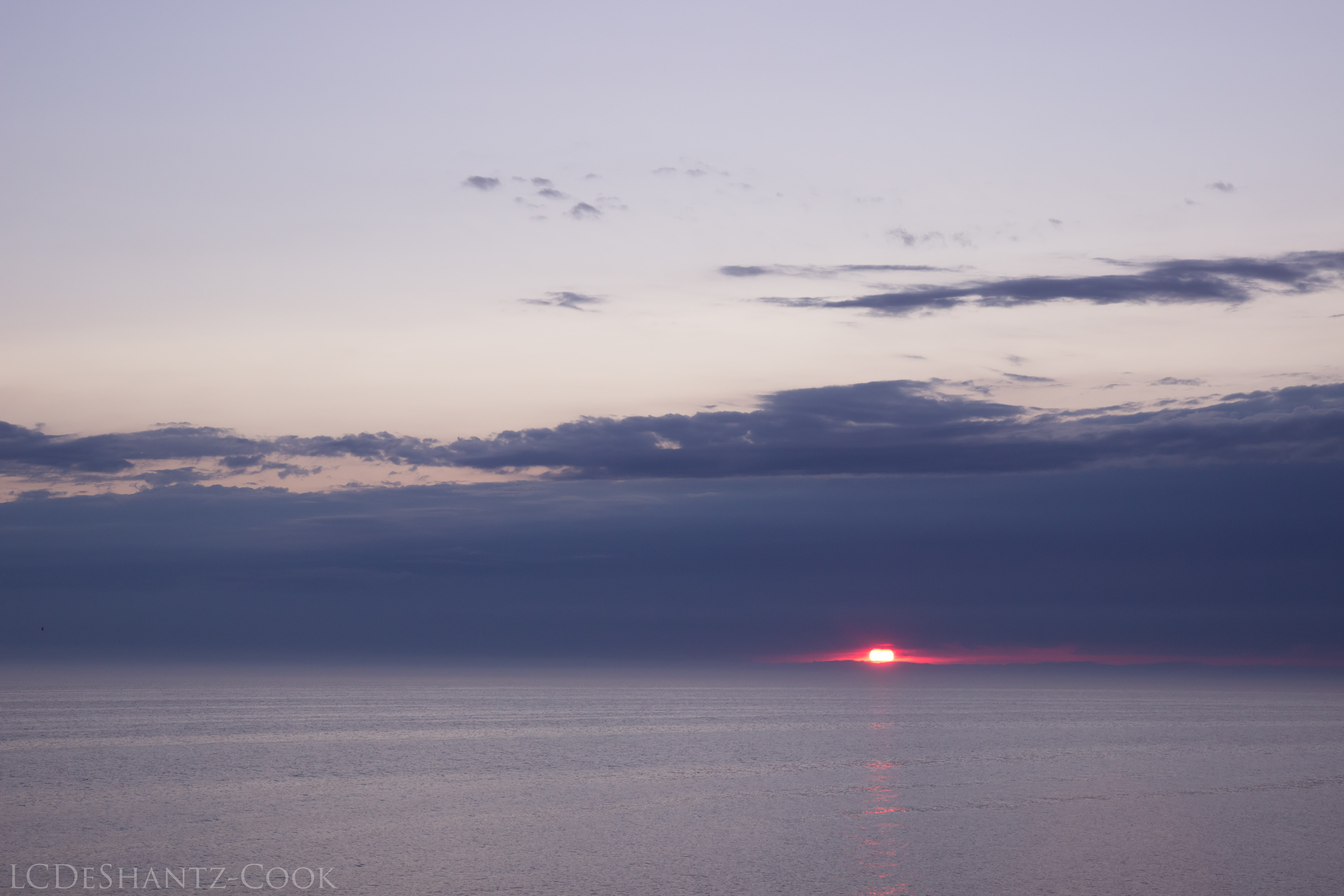 LDC_20170630_IMG_6429