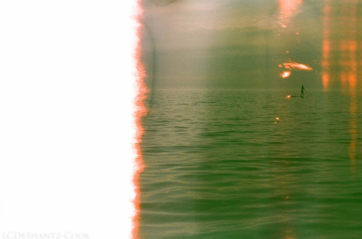 LDC_20170722_04060001