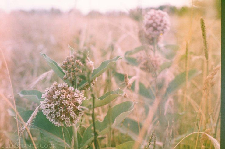 LDC_20170722_04060014