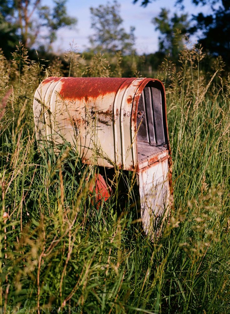 LDC_20170723_04330001