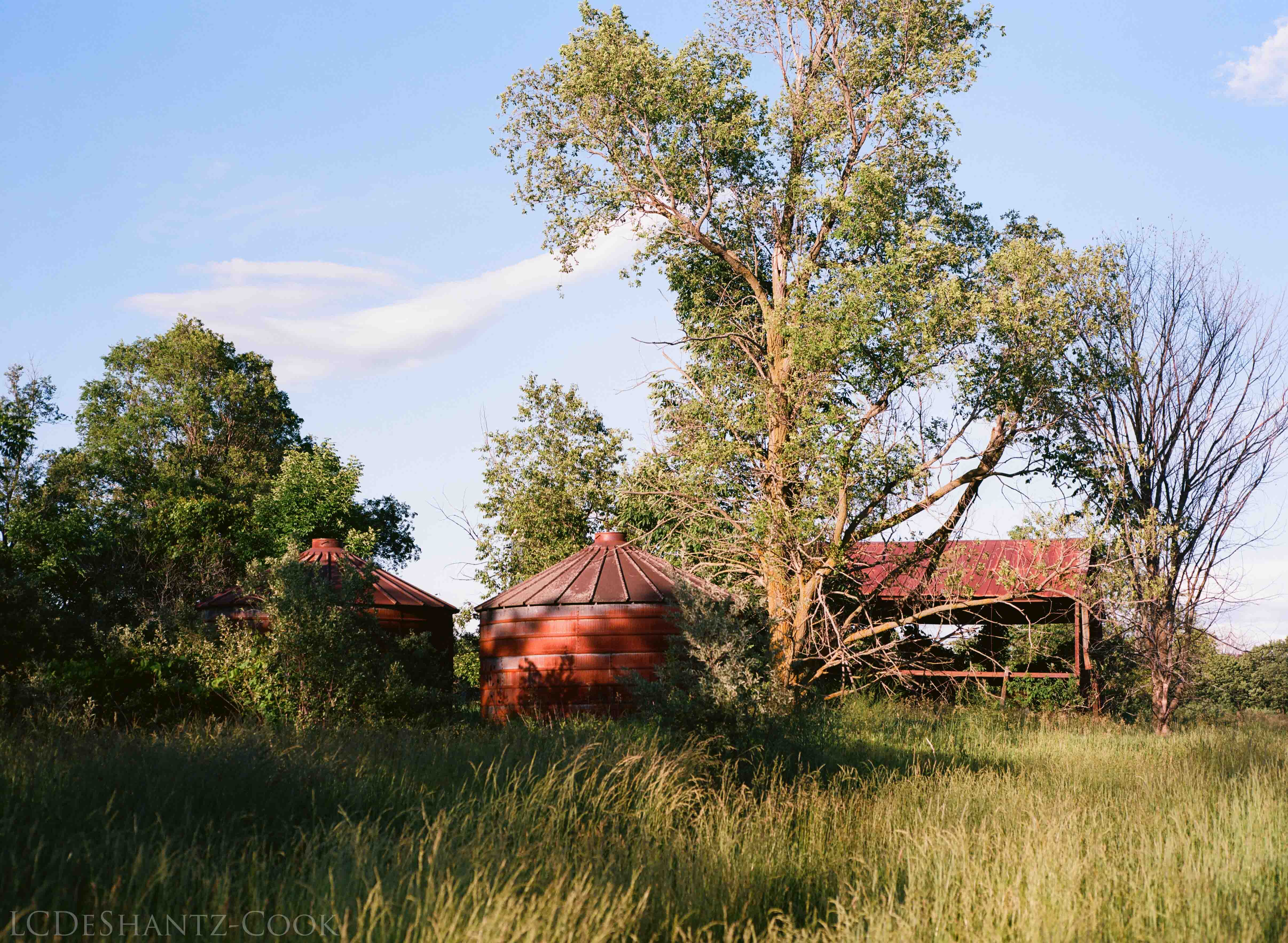 LDC_20170723_04330002