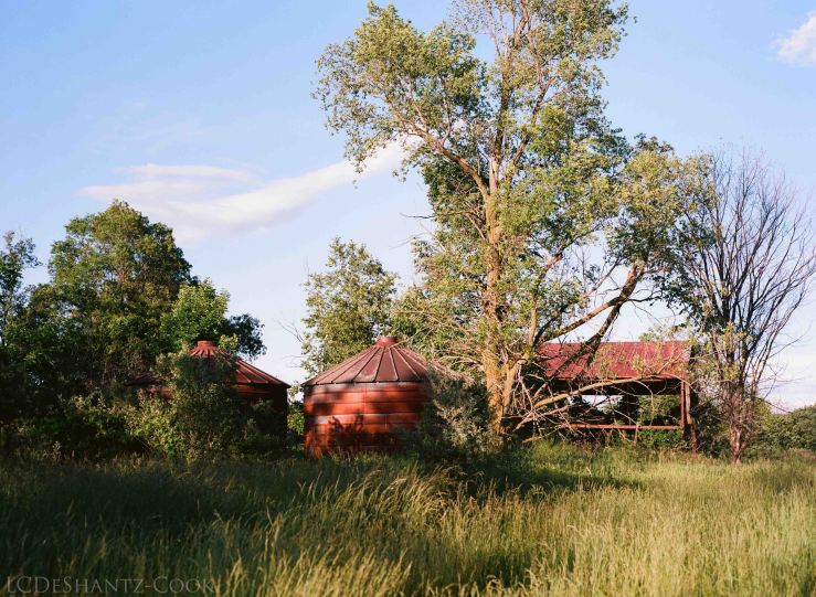 LDC_20170723_04330002