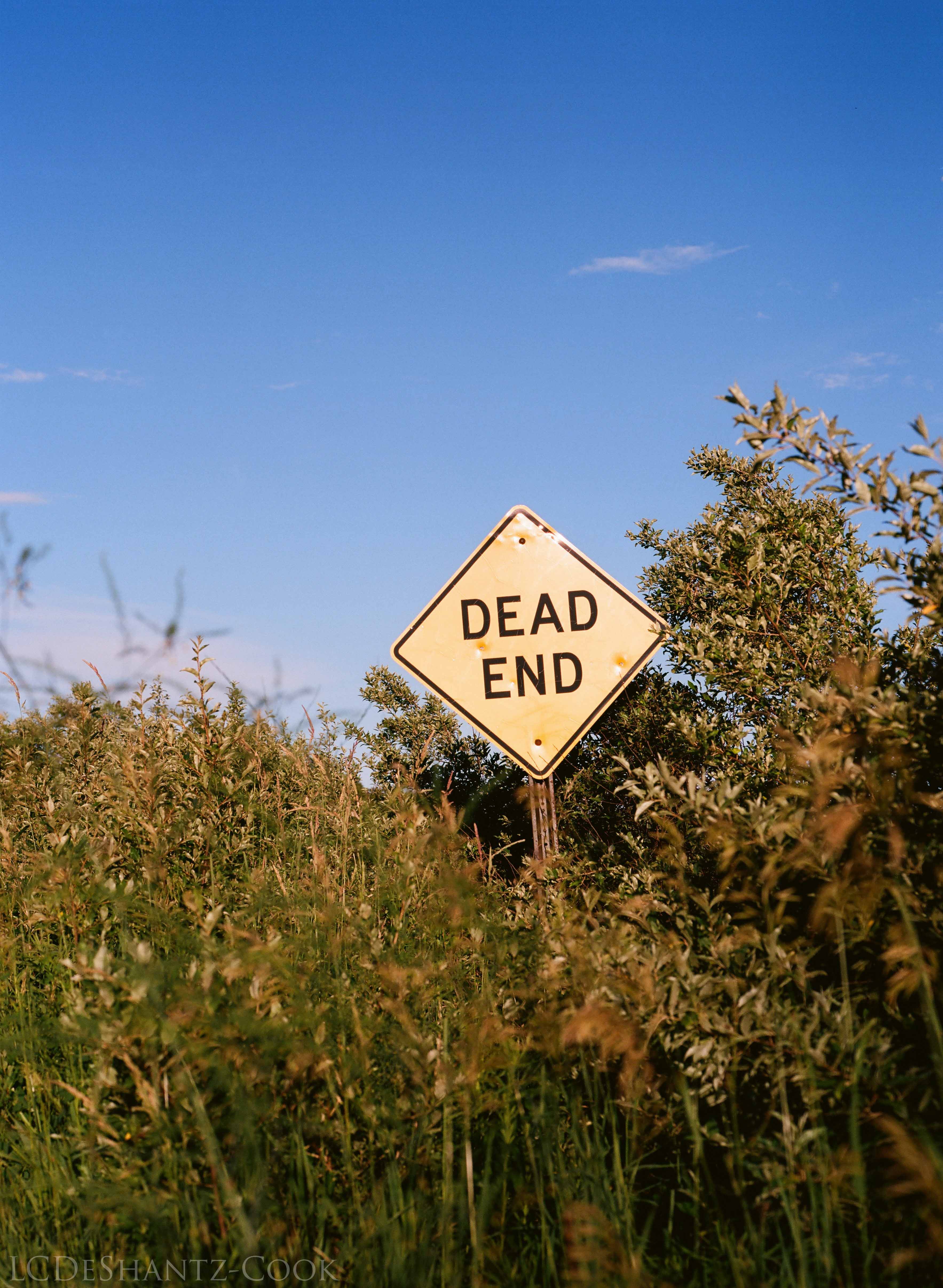 LDC_20170723_04330003