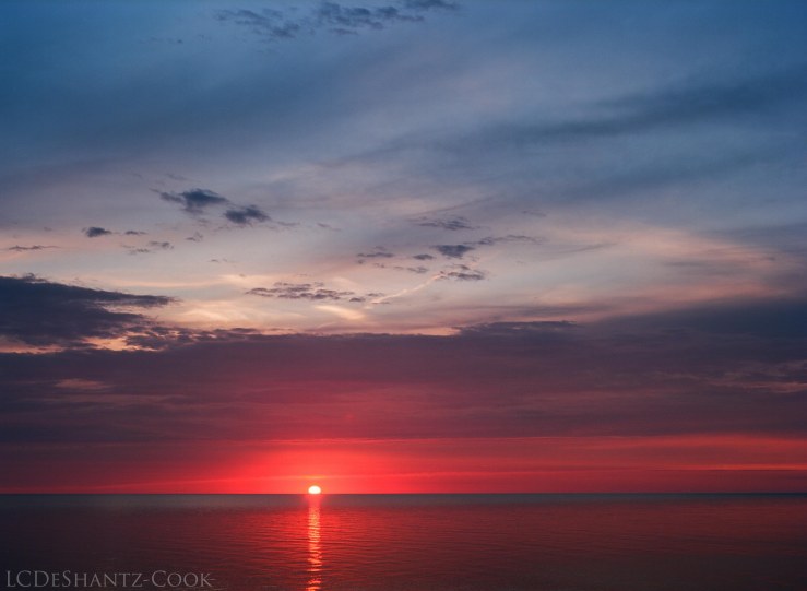 LDC_20170723_04760005