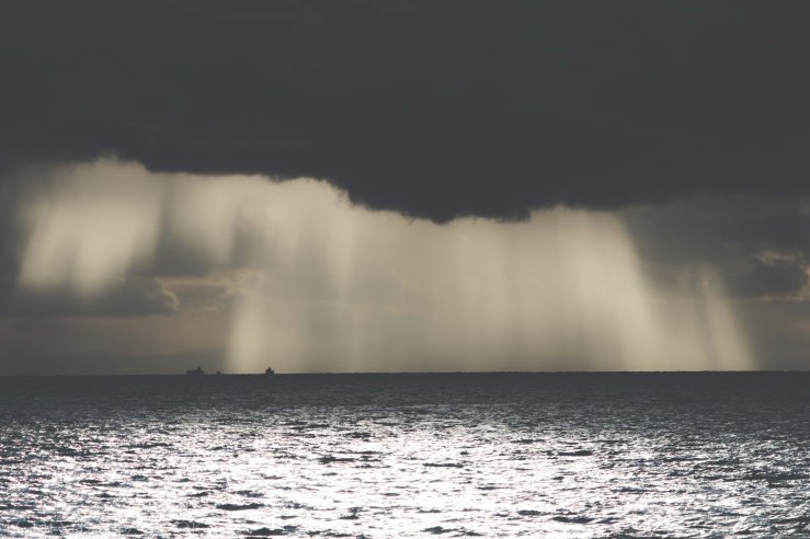 LDC_20170905_IMG_7703