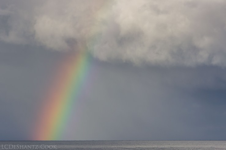 LDC_20170906_IMG_7845