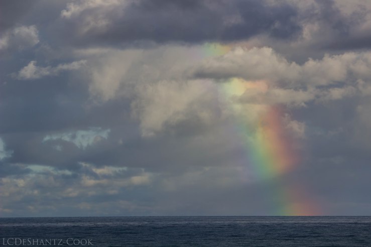 LDC_20170906_IMG_7849