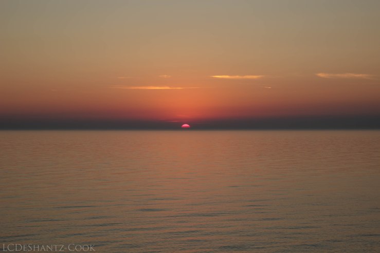 LDC_20170923_IMG_7982