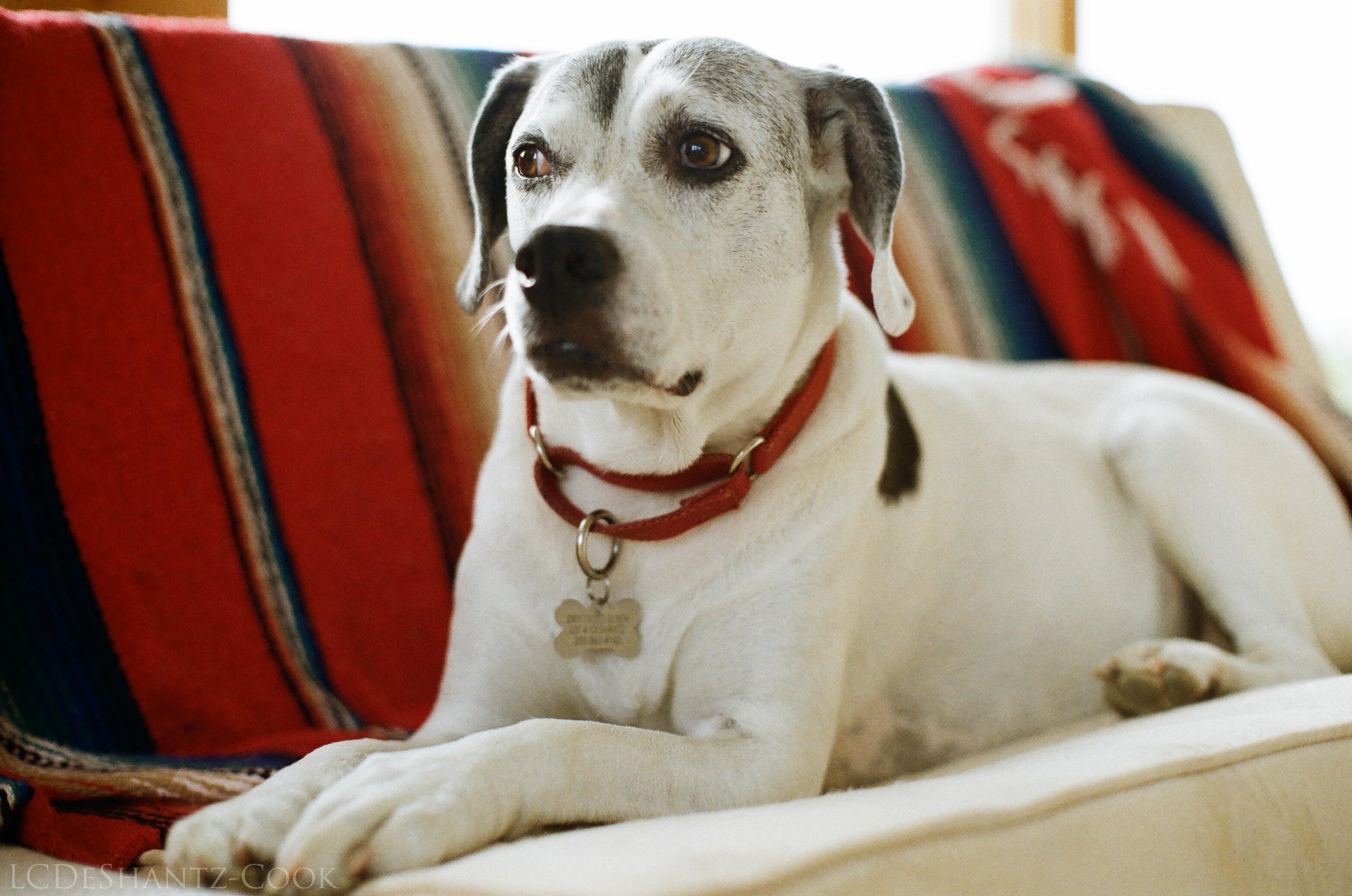 LDC_20170928_82360030