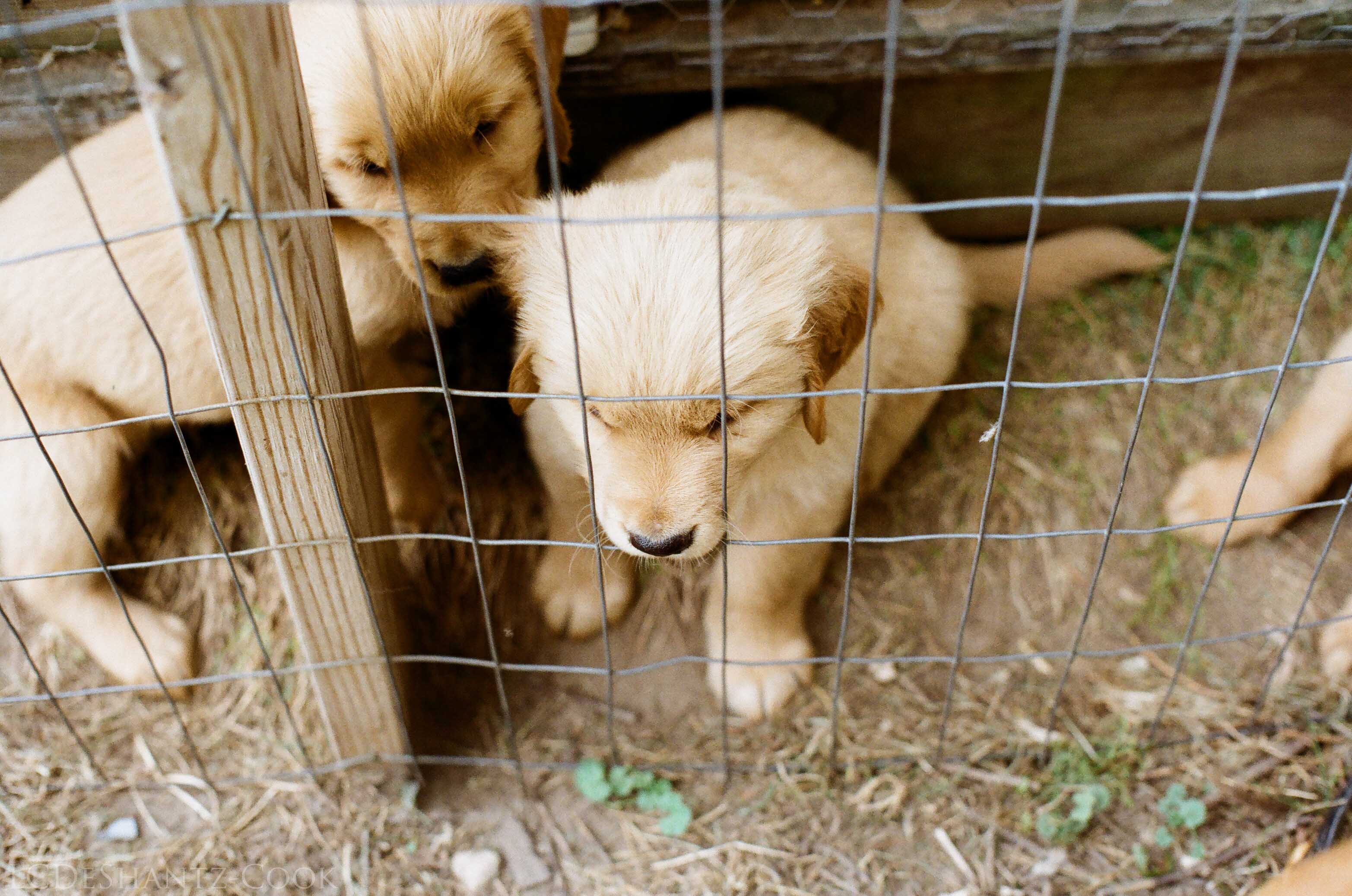 LDC_20170928_82380020