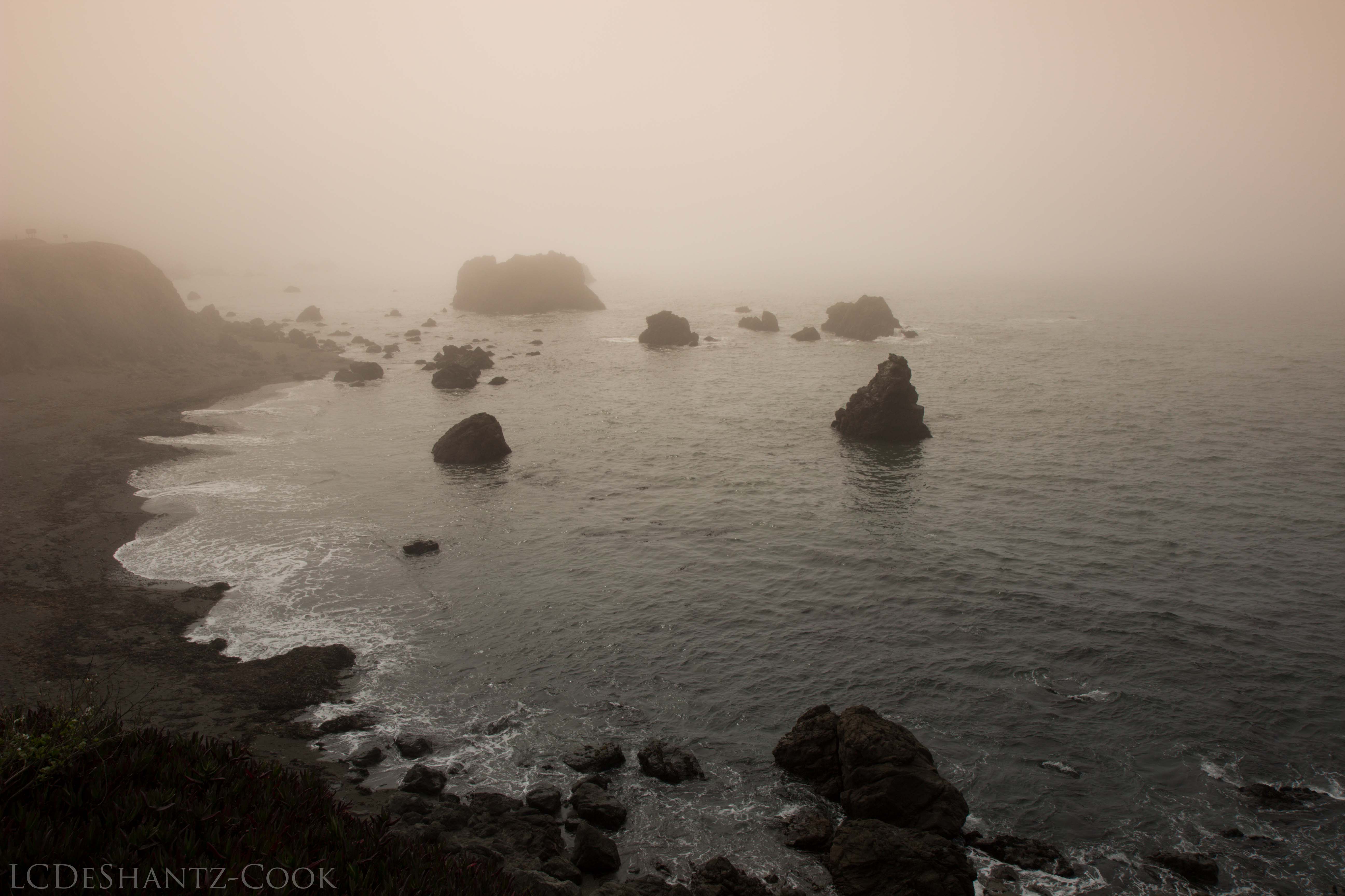 LDC_20171004_IMG_8008