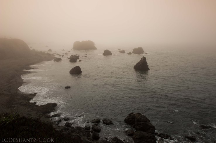 LDC_20171004_IMG_8008