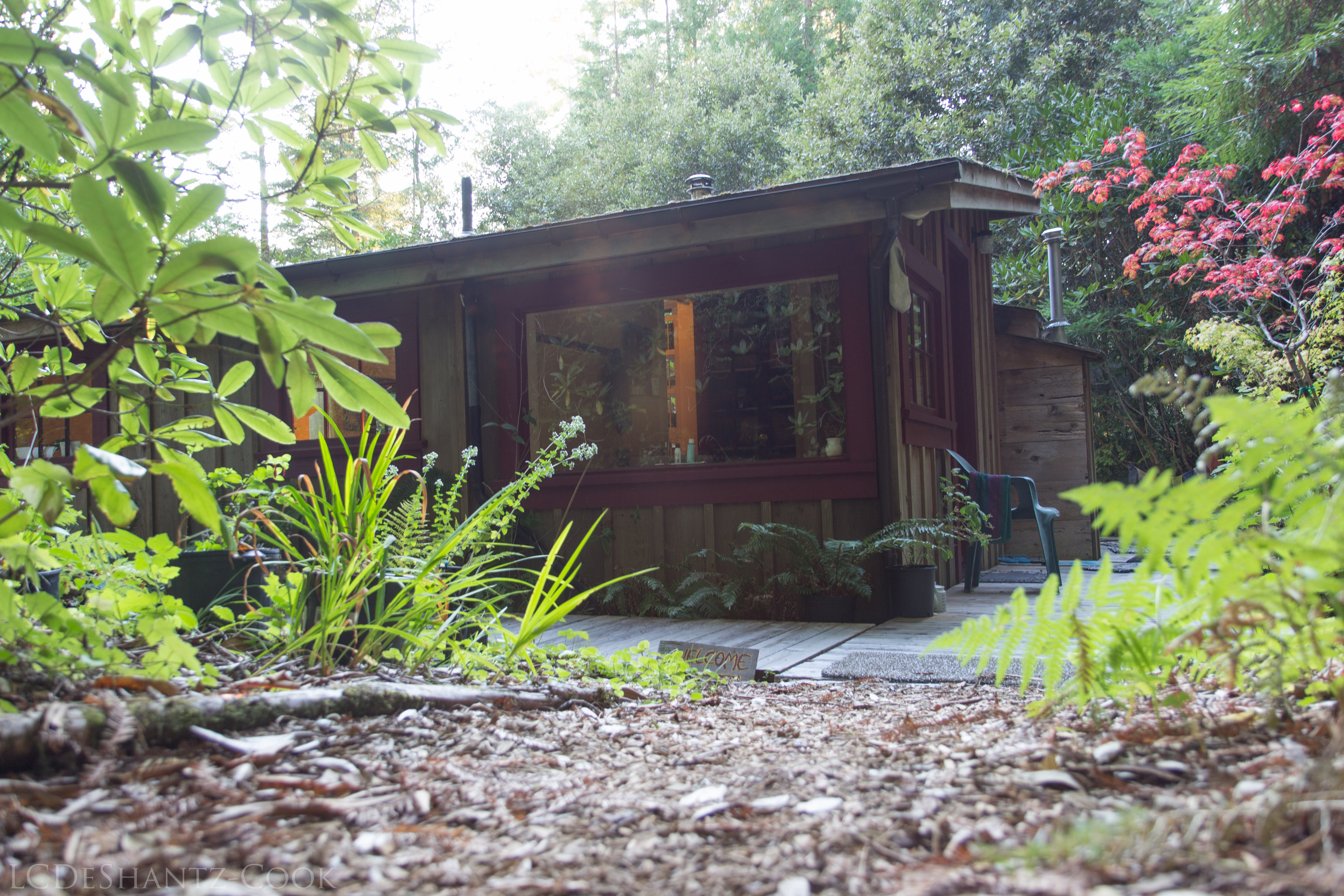 LDC_20171004_IMG_8031