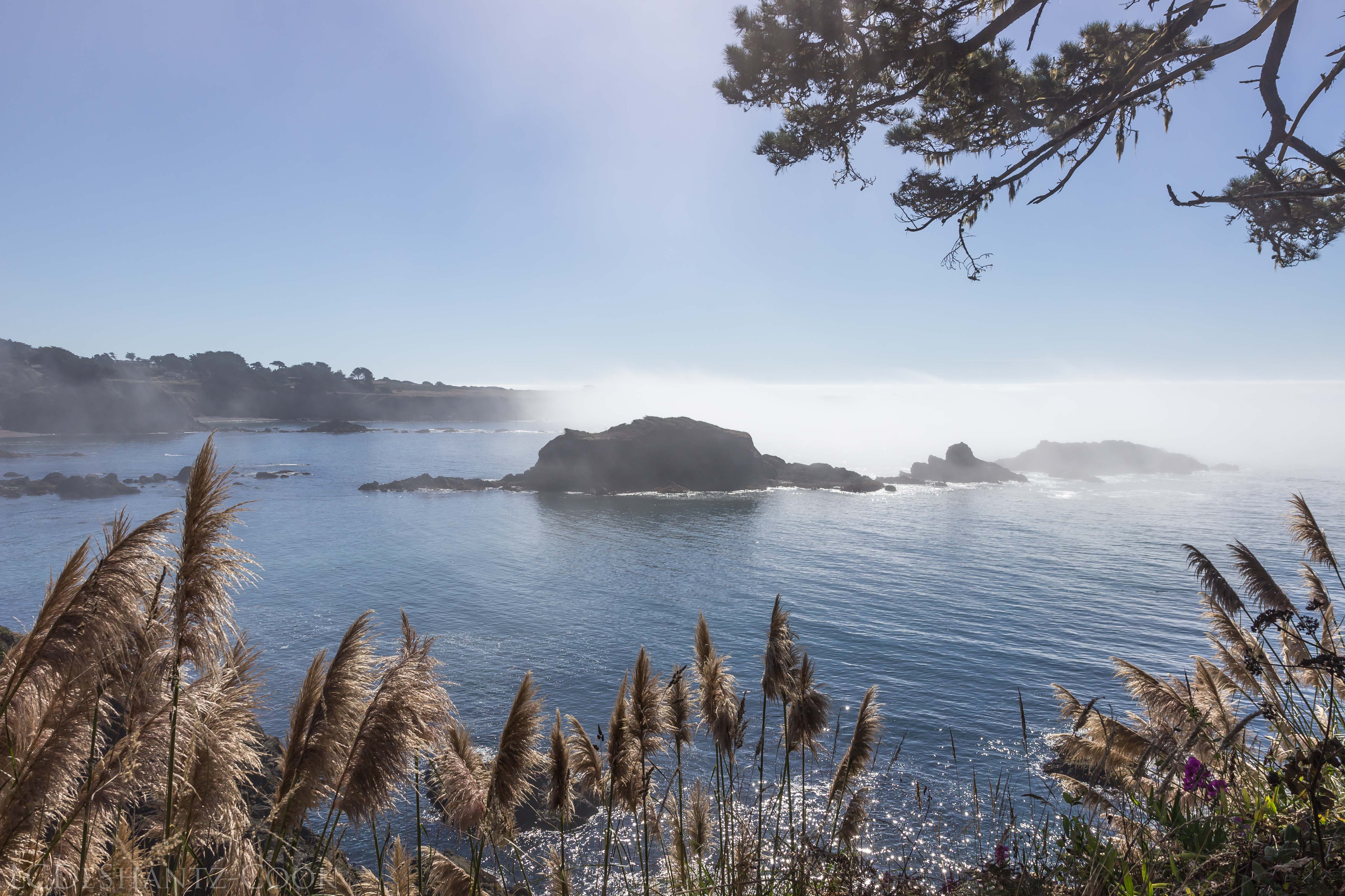 LDC_20171005_IMG_8039