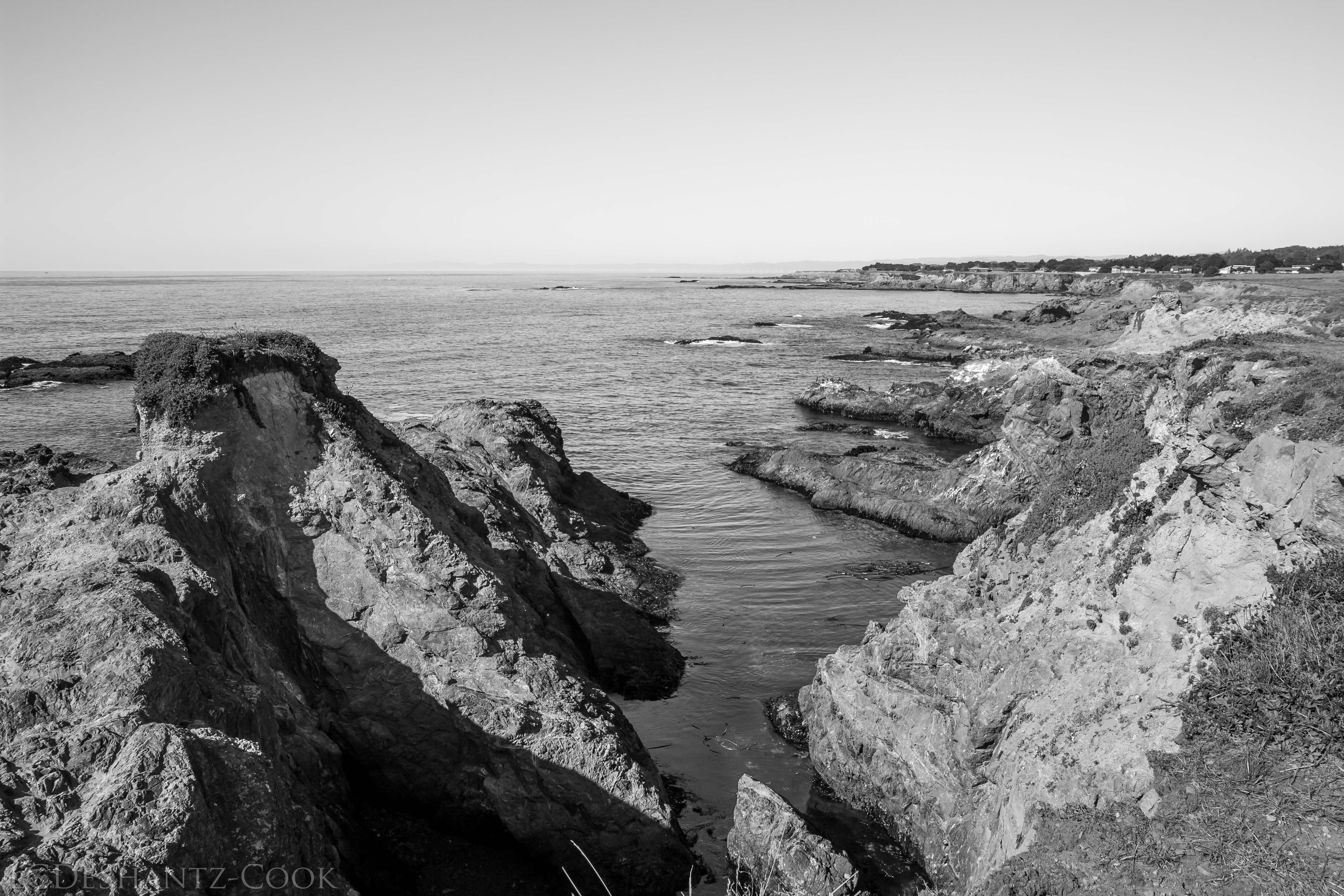 LDC_20171005_IMG_8056