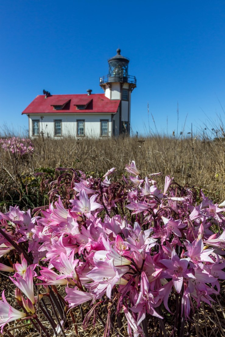 LDC_20171005_IMG_8064