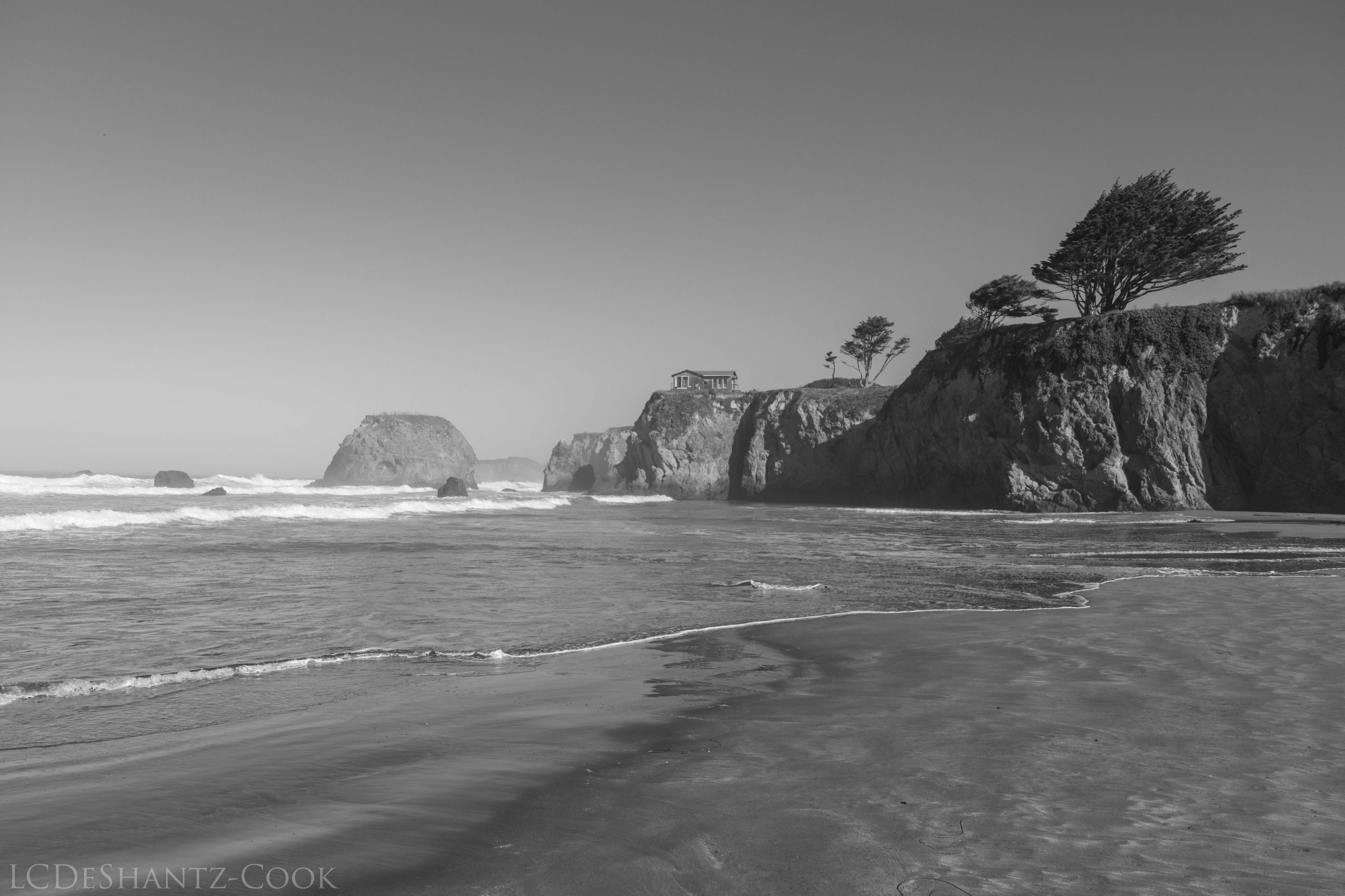 LDC_20171006_IMG_8098