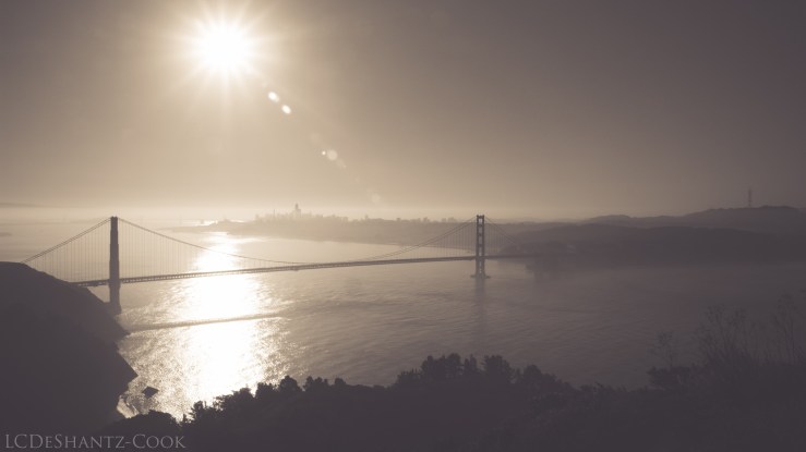 LDC_20171008_IMG_8163