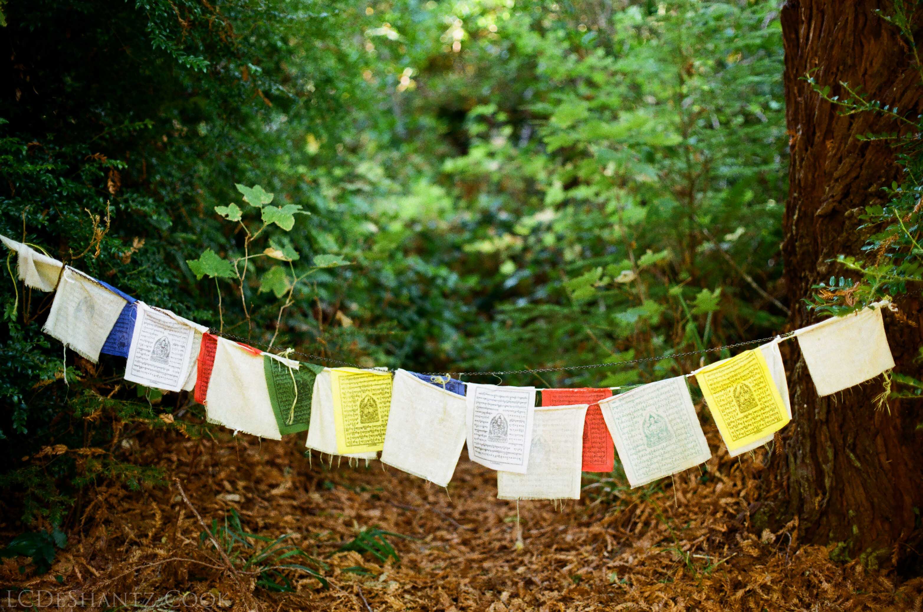 LDC_20171015_99980016