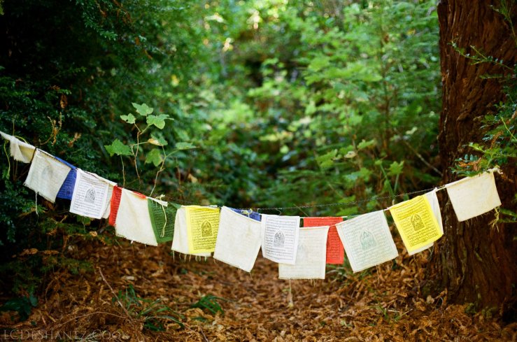 LDC_20171015_99980016