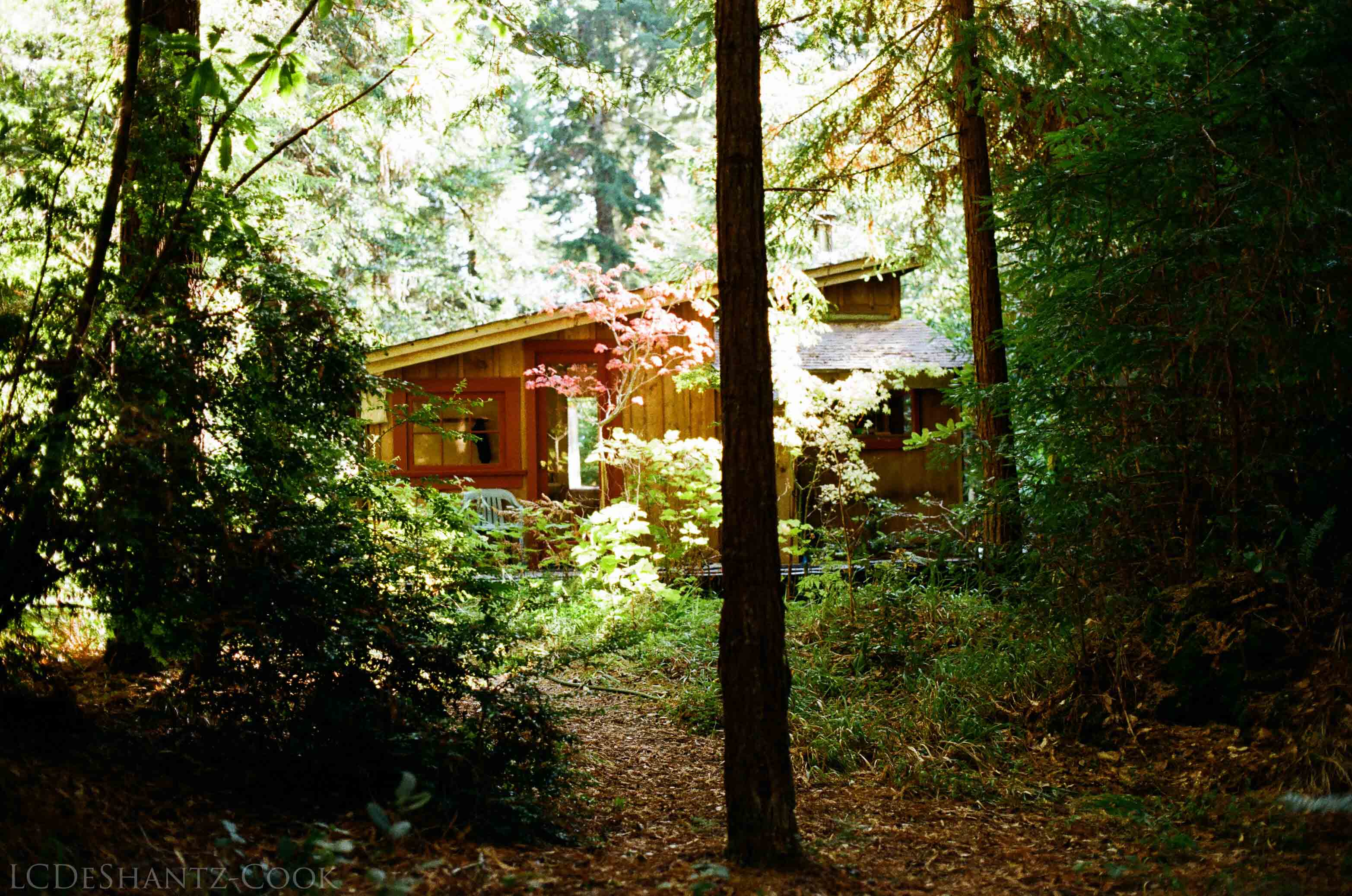 LDC_20171015_99980018