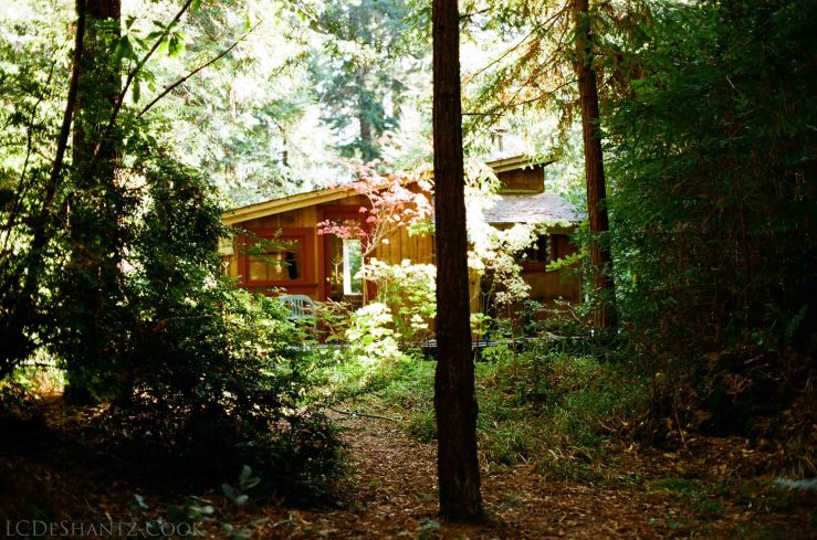 LDC_20171015_99980018