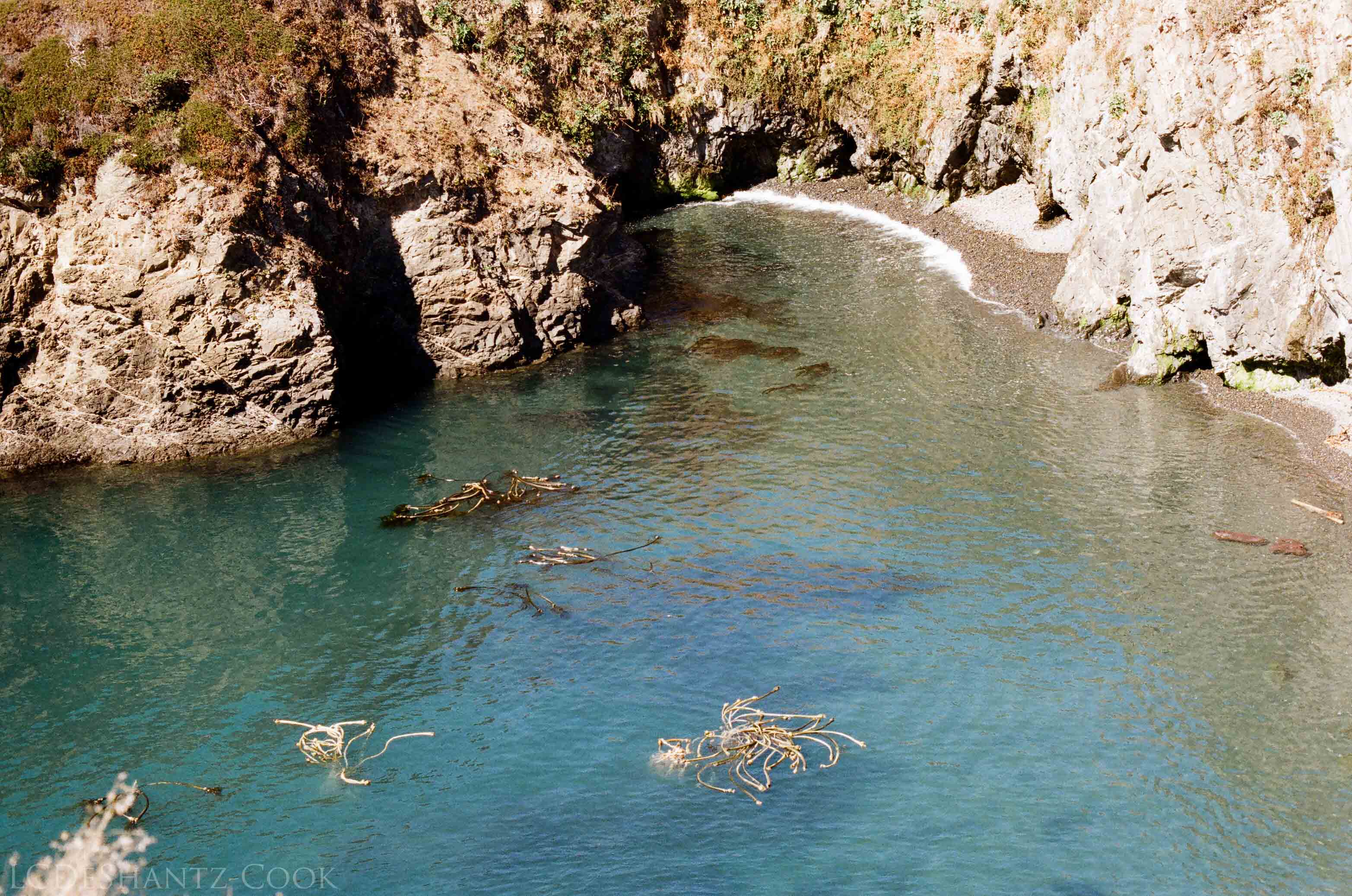 LDC_20171015_99980035