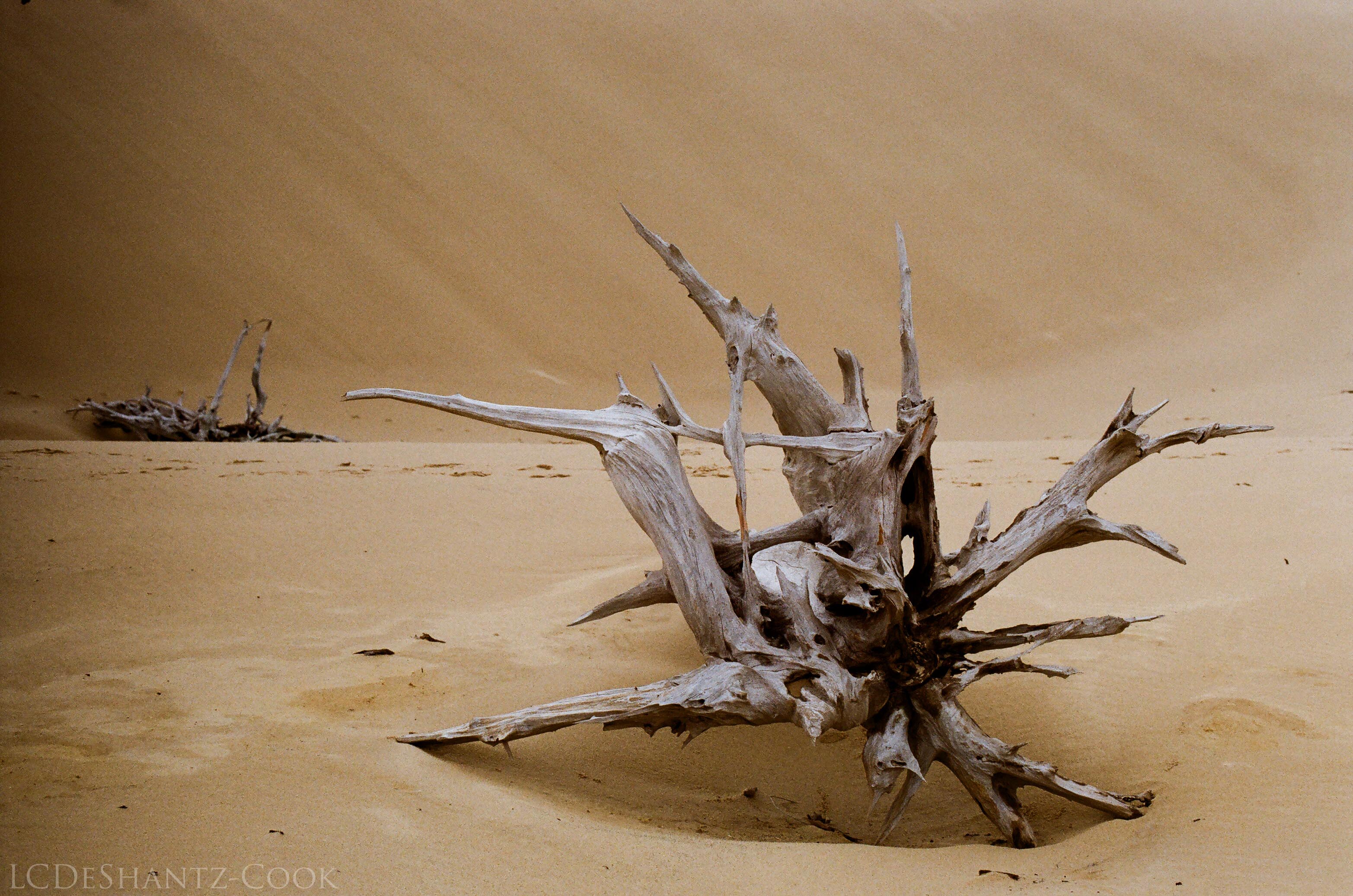 LDC_20171031_19130024