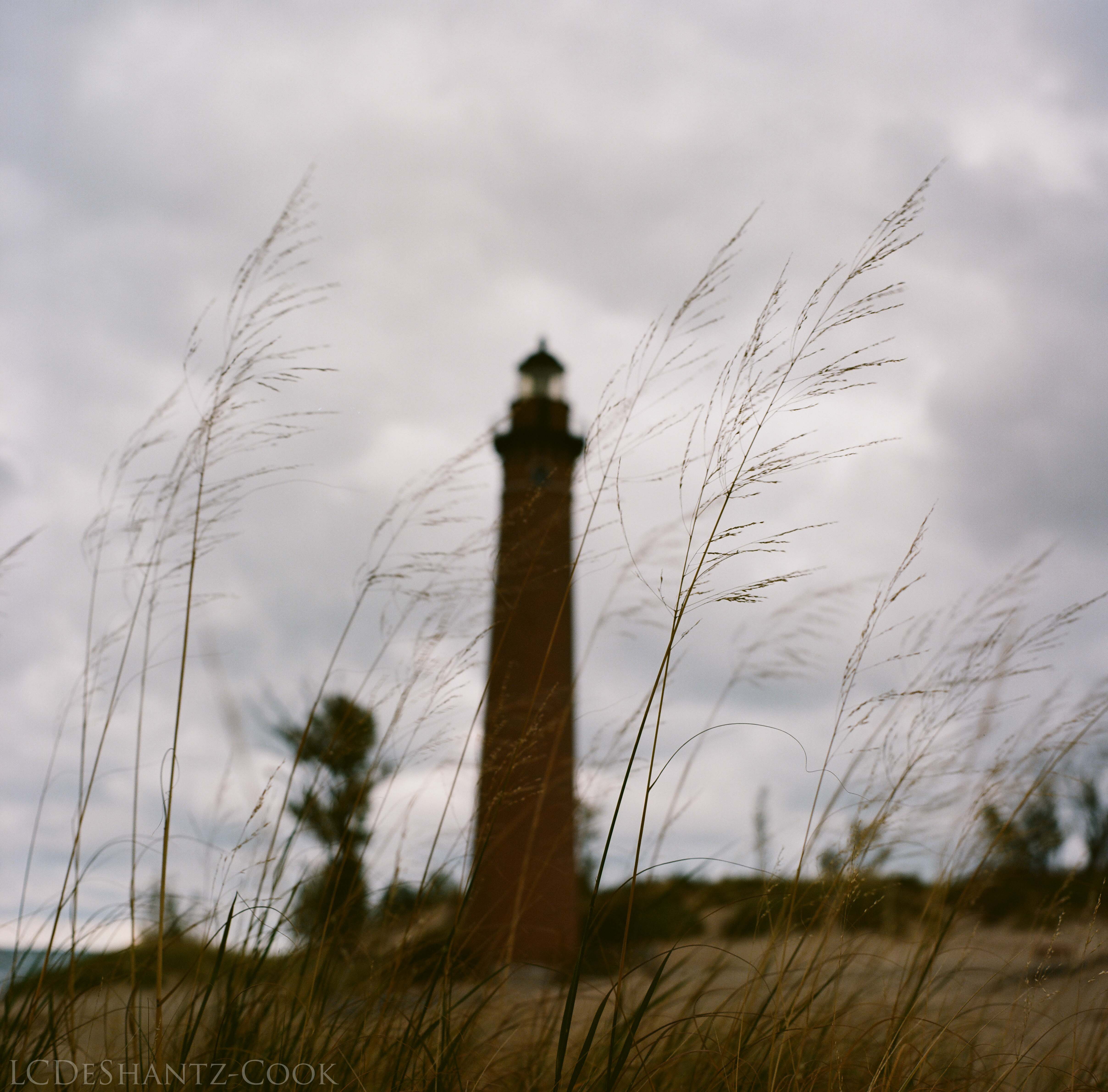 LDC_20171031_19300005