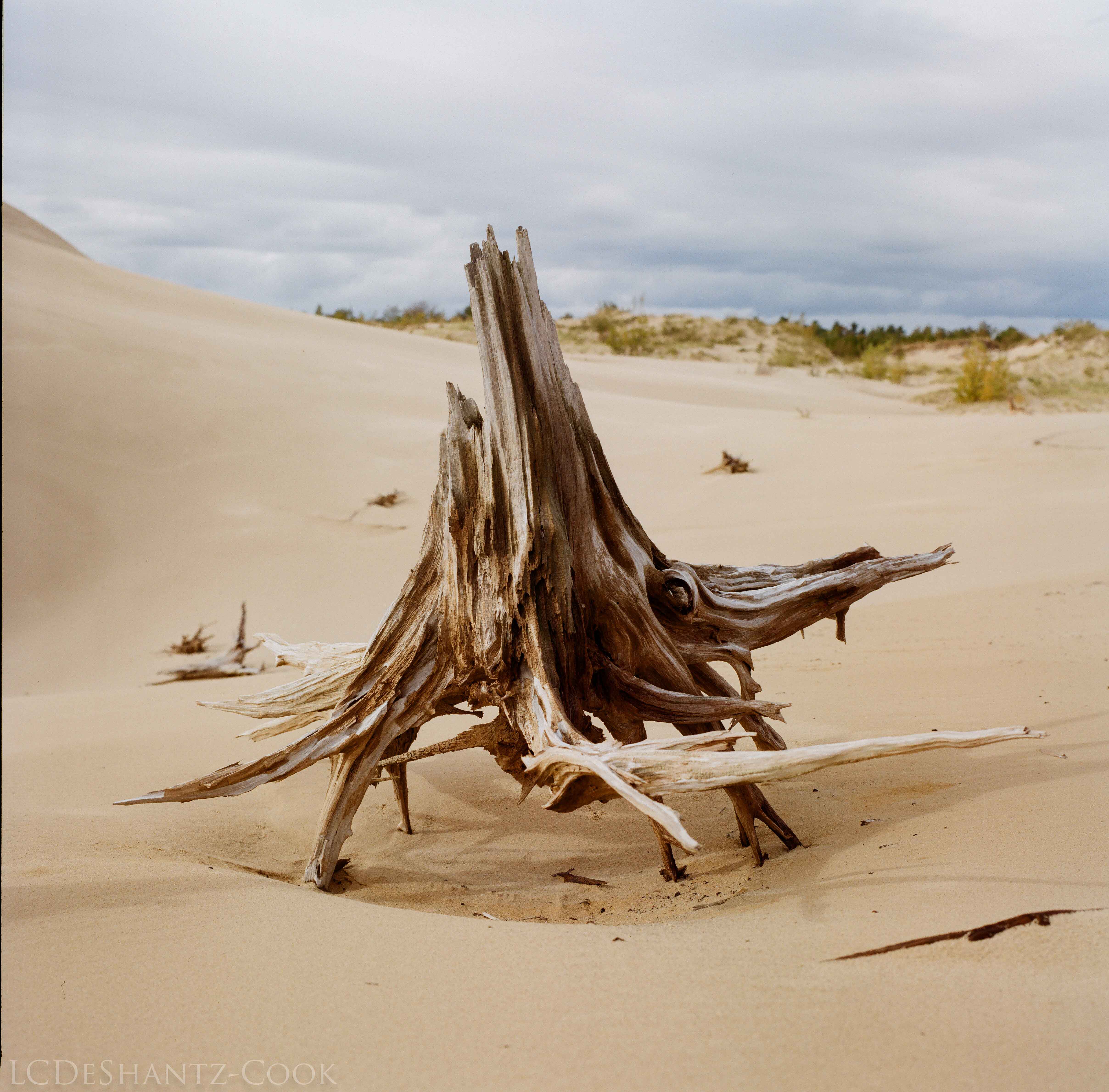 LDC_20171031_19320005