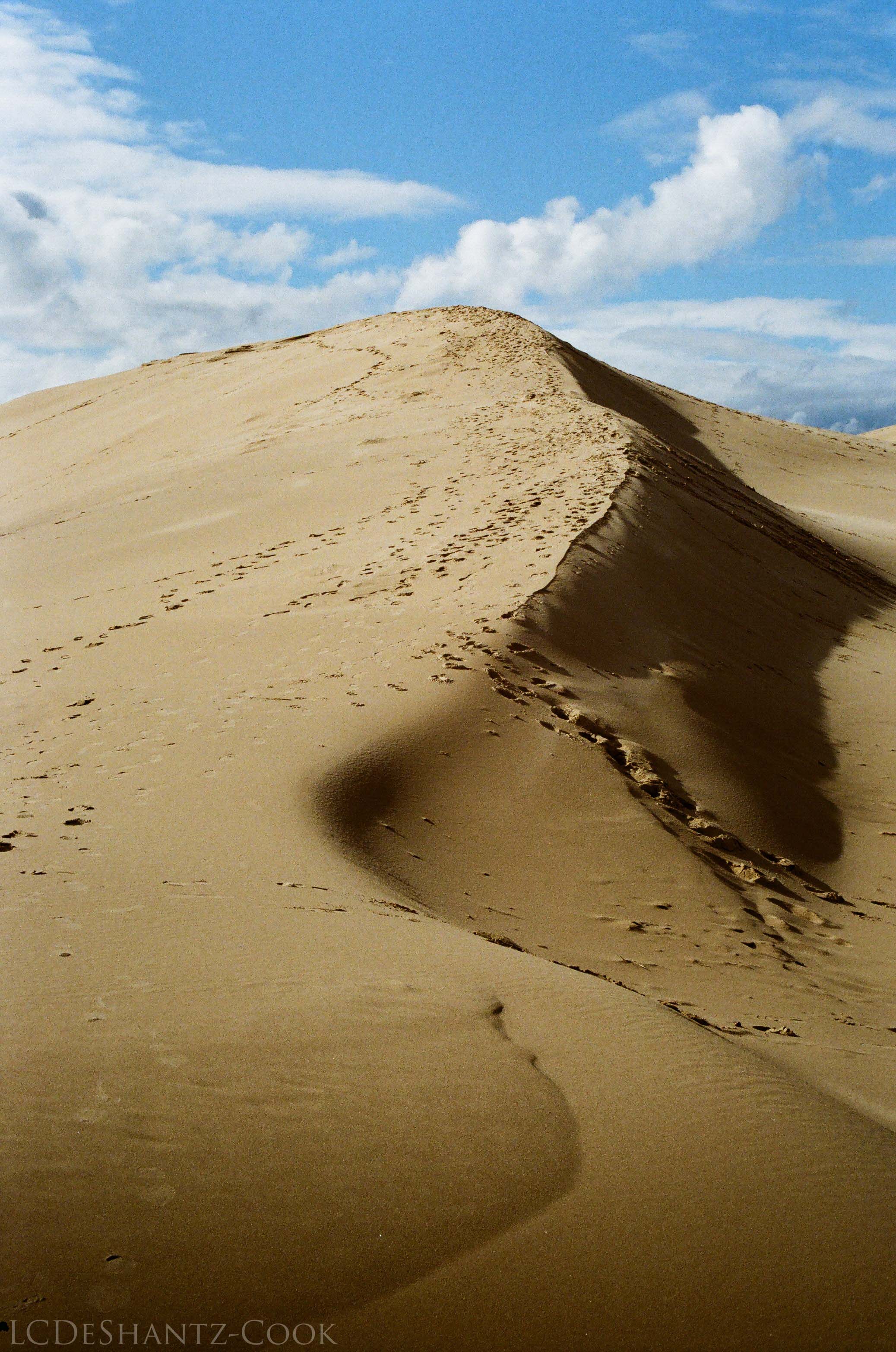 LDC_20171129_52360007