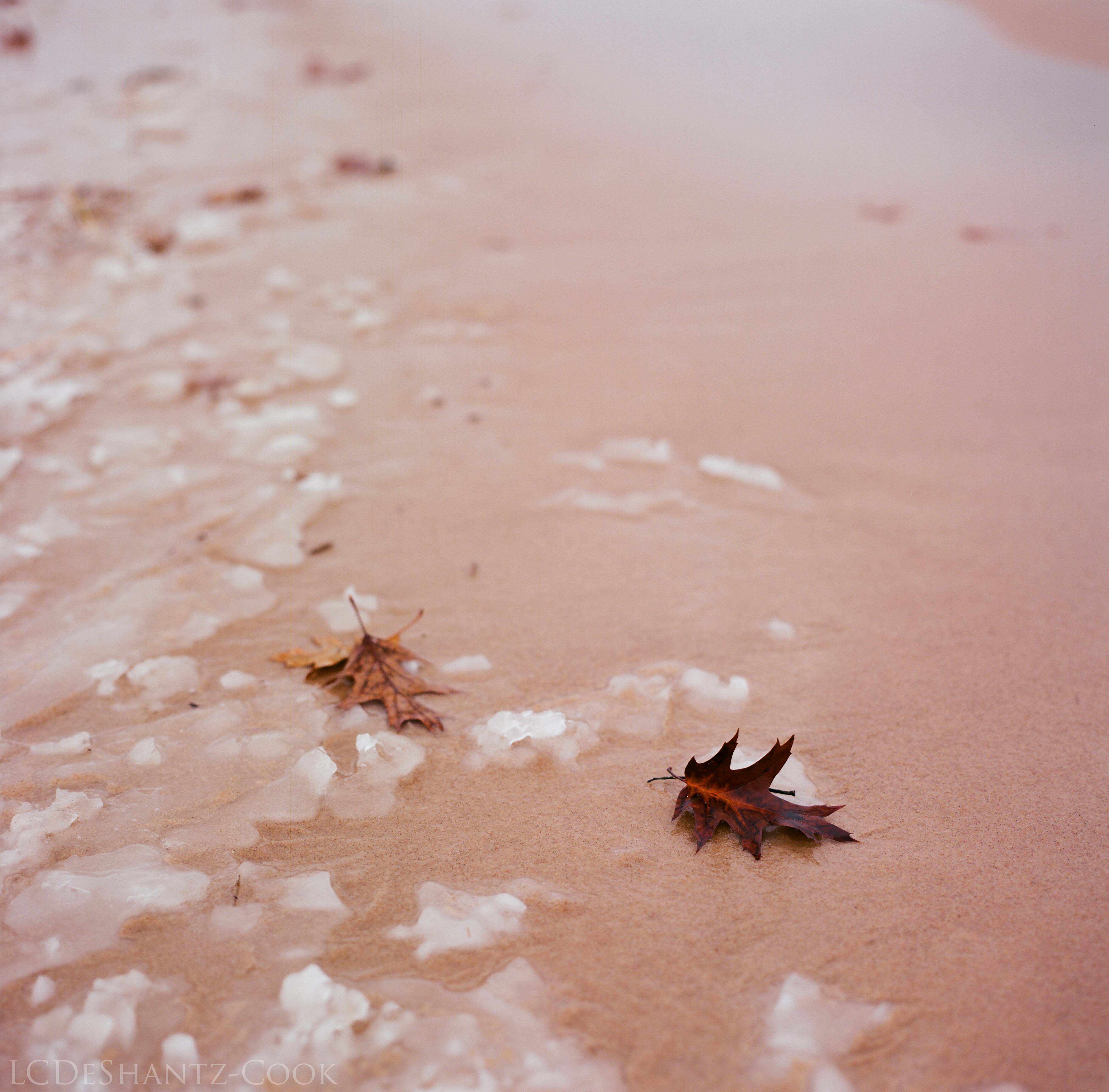 LDC_20171129_52670003