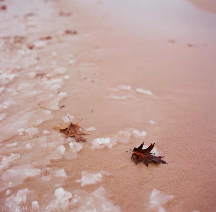 LDC_20171129_52670003