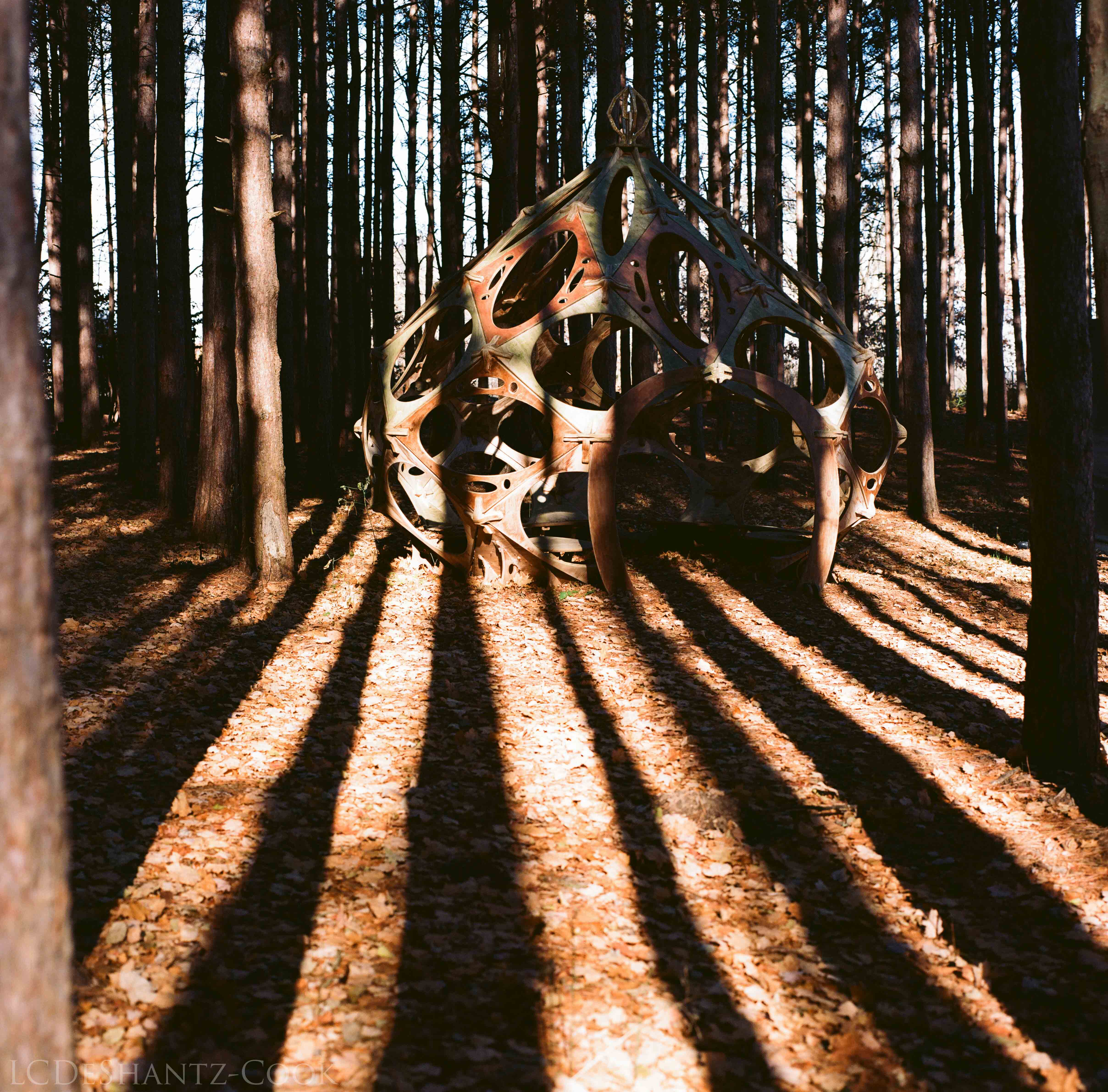 LDC_20171129_52700005