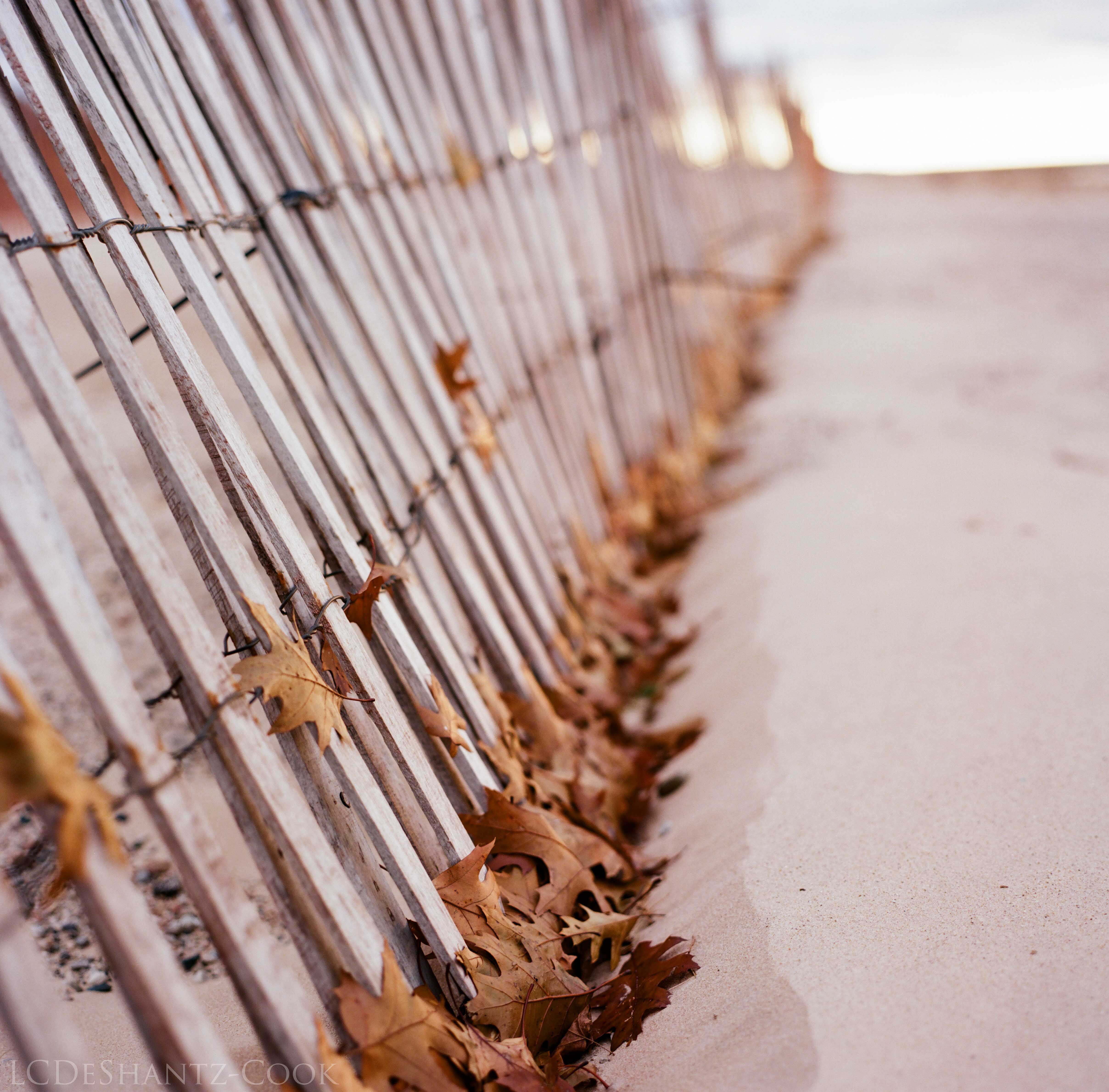 LDC_20171129_52710002