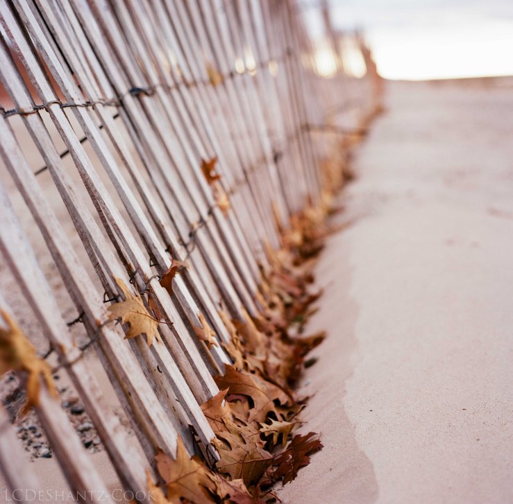 LDC_20171129_52710002