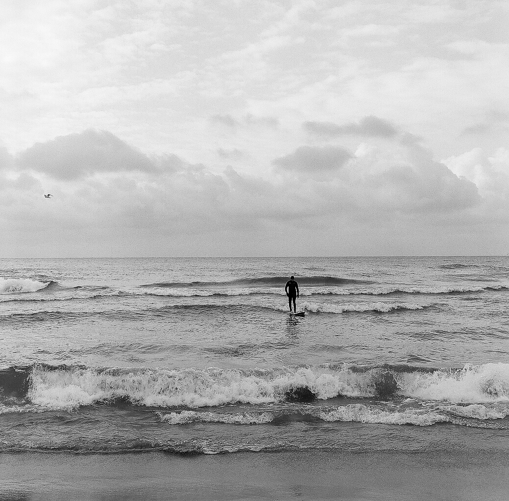 December surfer, Lake Michigan