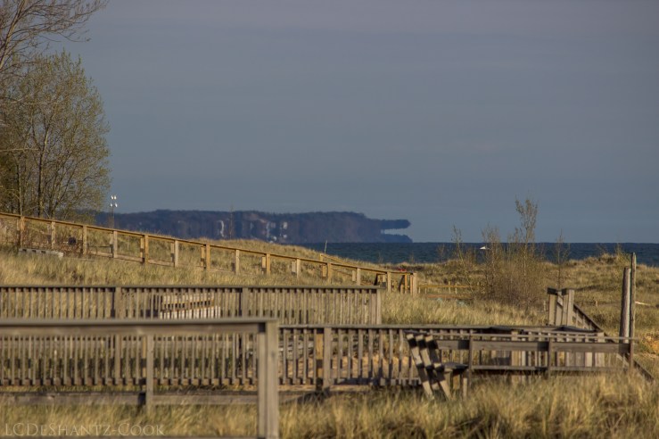 LDC_20180520_IMG_0969