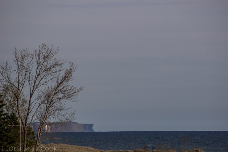 LDC_20180520_IMG_0971