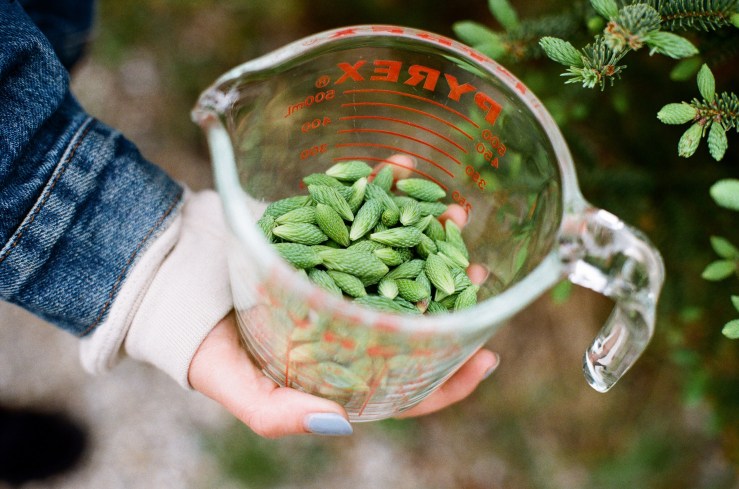 LDC_20180524_73730016-2