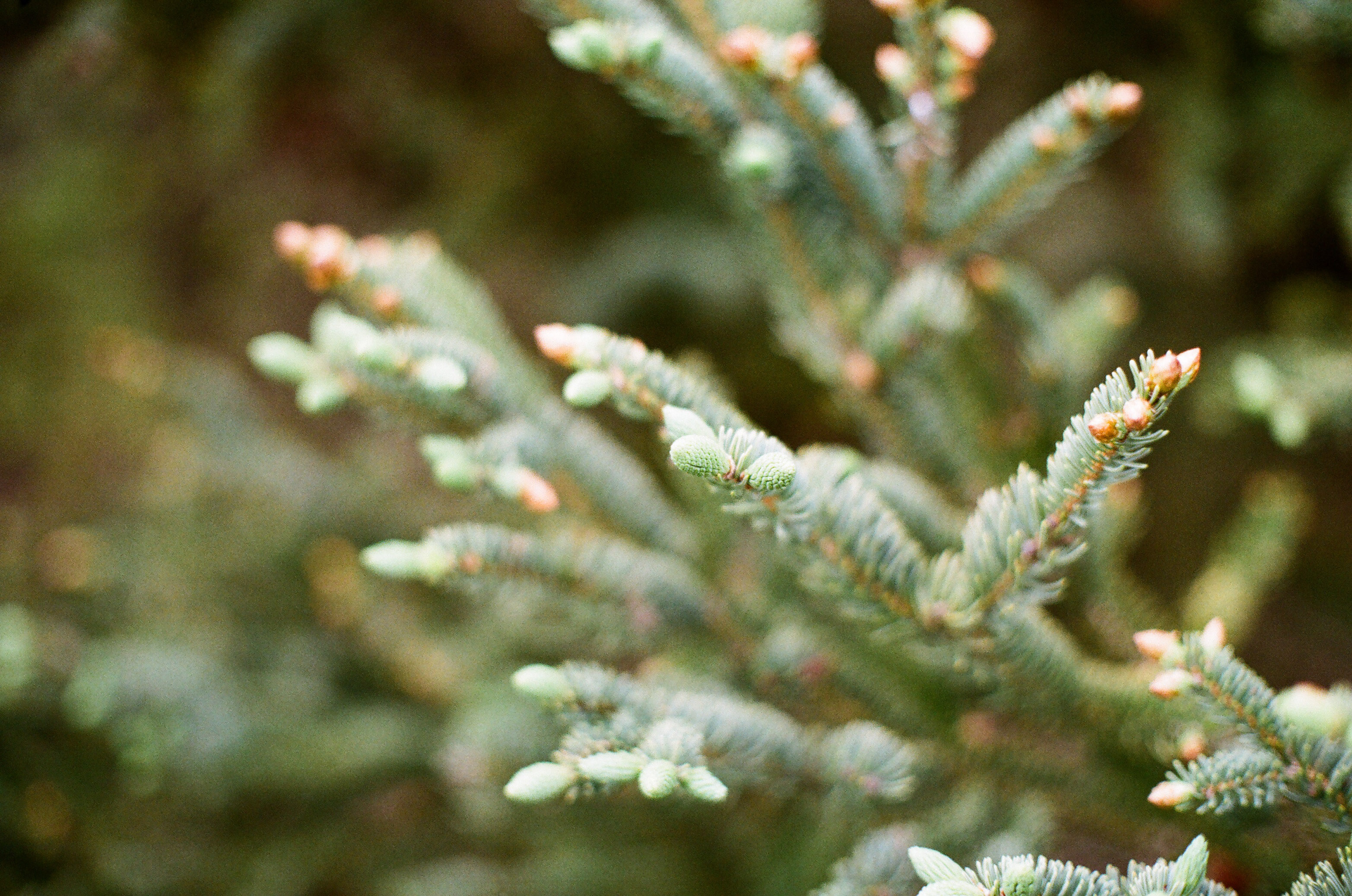 LDC_20180524_73730017