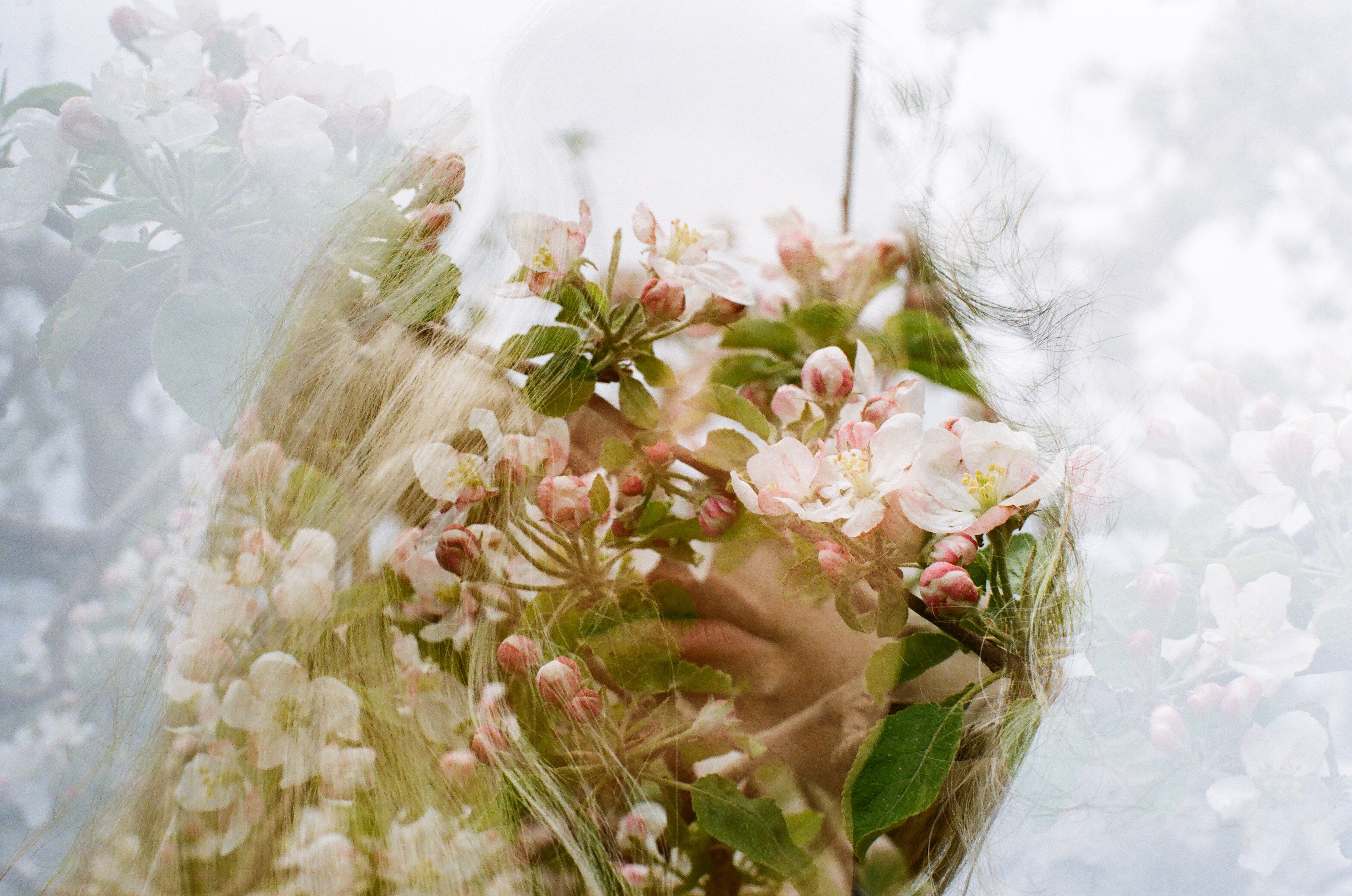 LDC_20180524_73730026-2