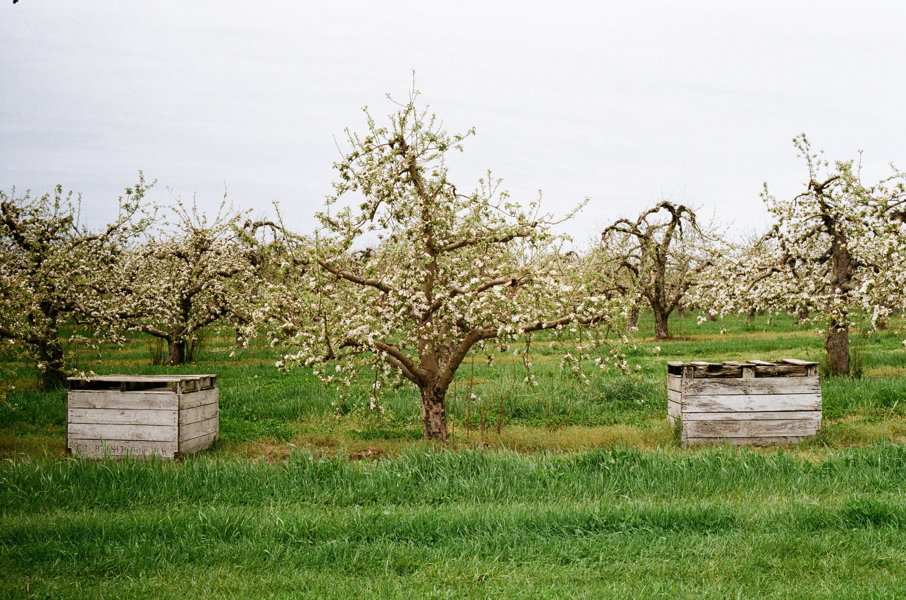 LDC_20180524_73730027