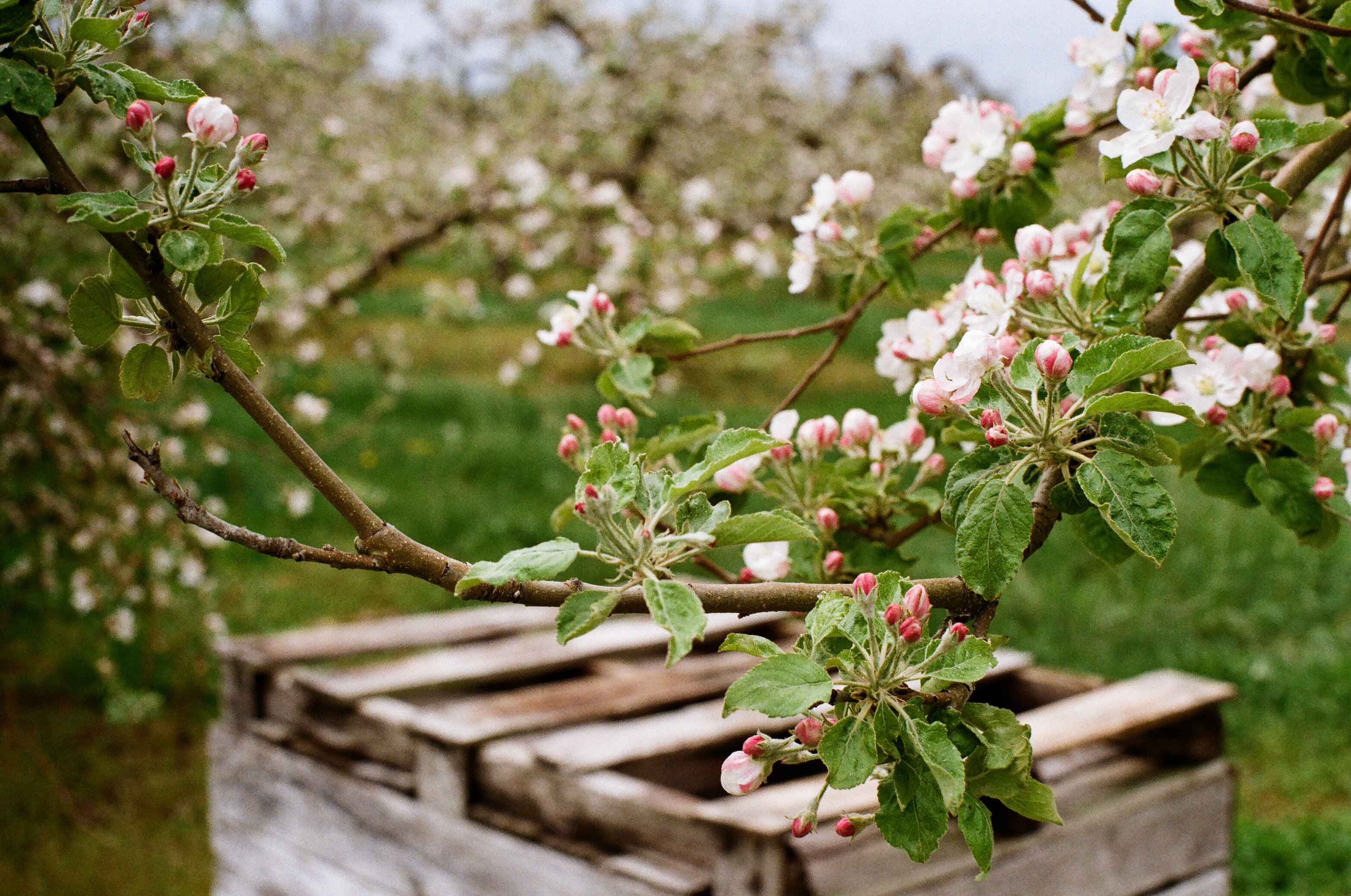 LDC_20180524_73730028