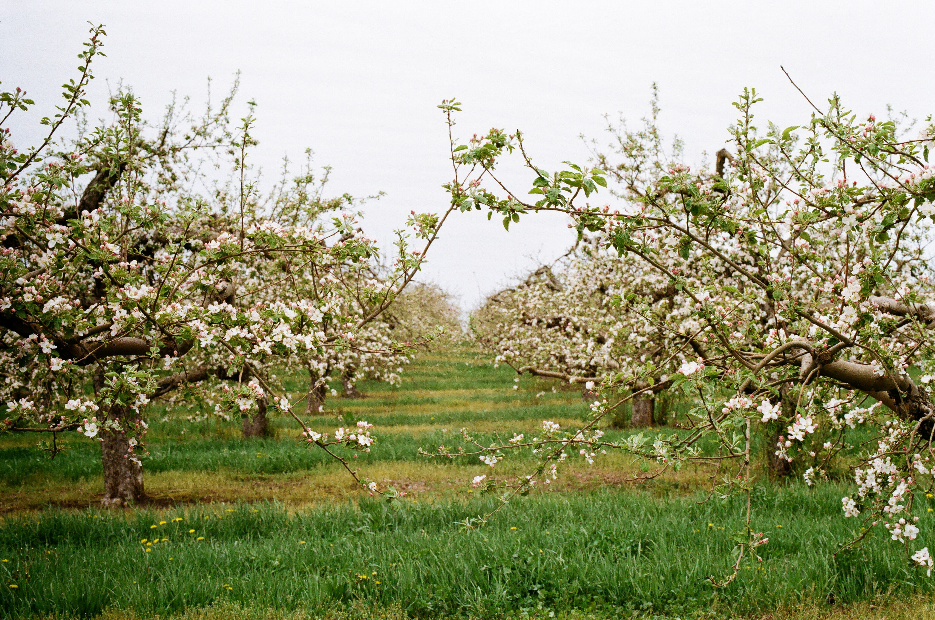 LDC_20180524_73730030-2