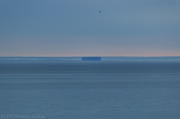 LDC_20180611_IMG_1331