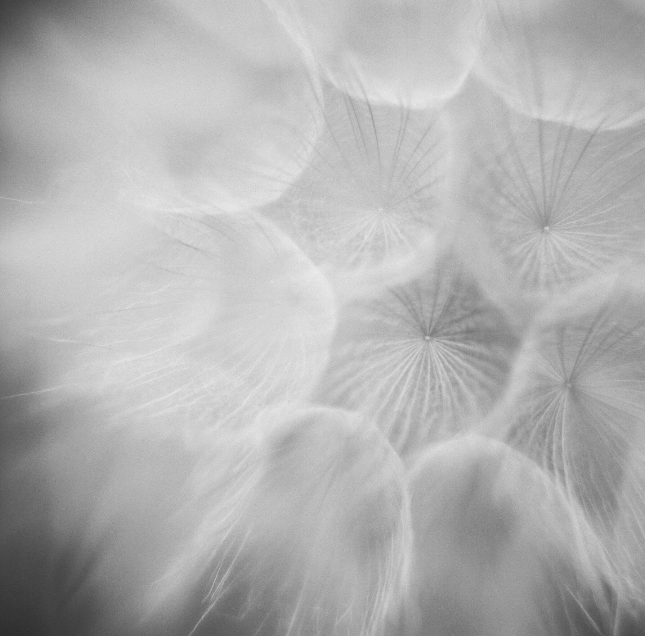 LDC_20180628_000200590007