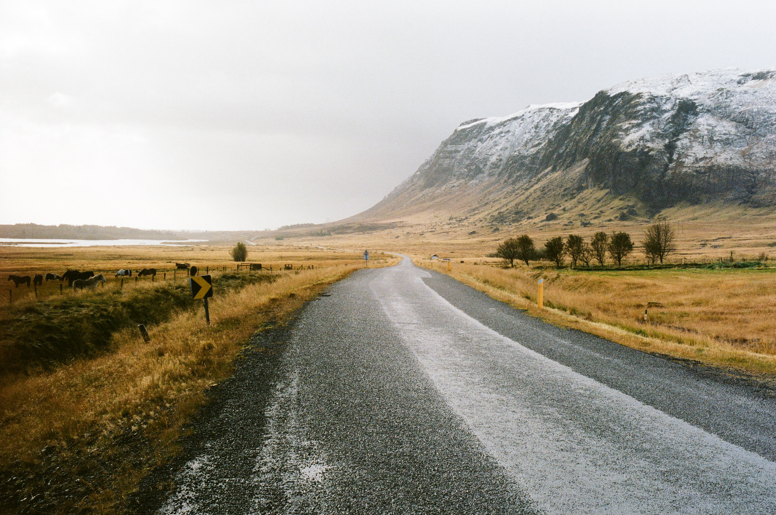 LDC_20181003_35800002