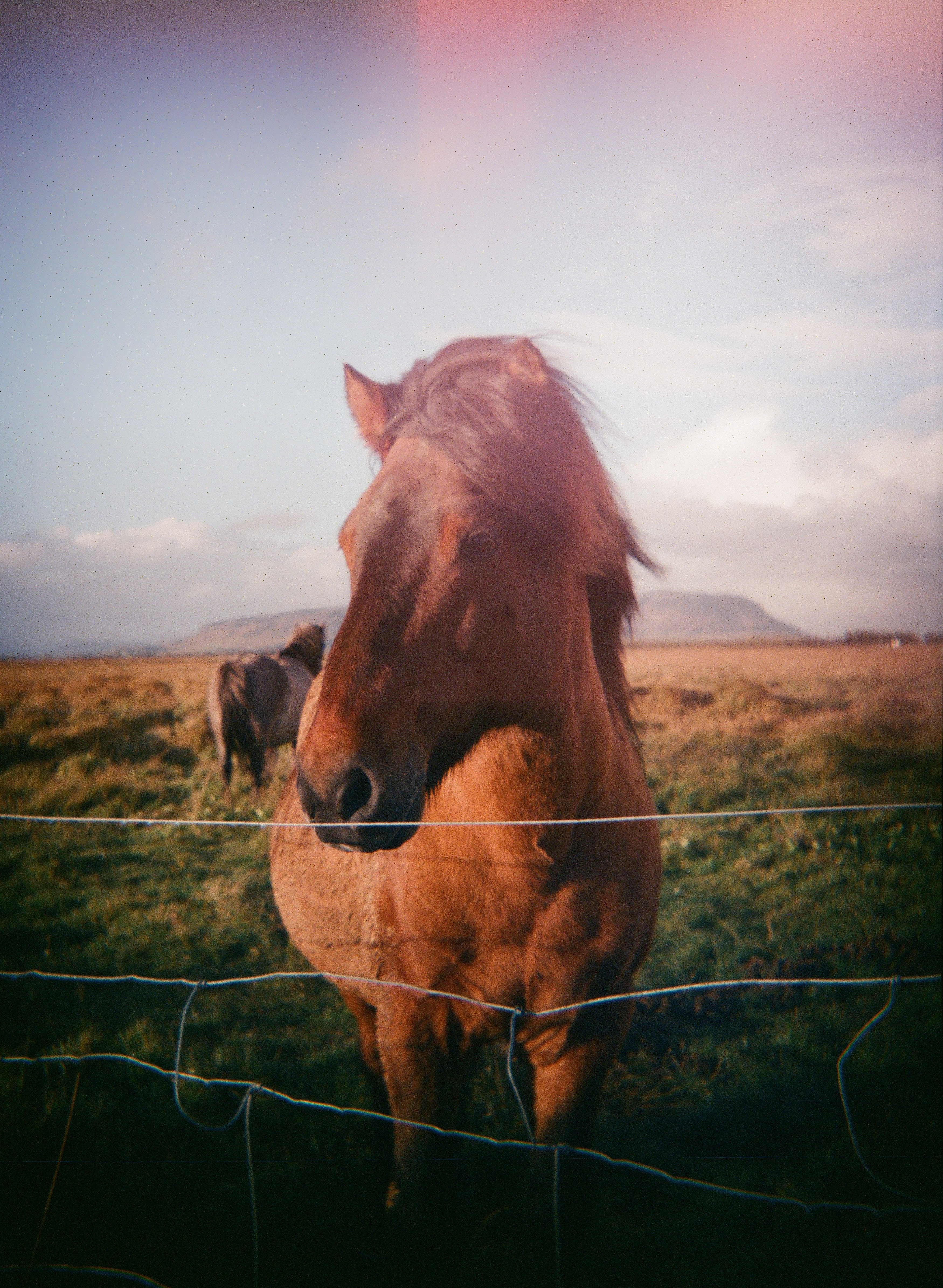 LDC_20181003_35890007