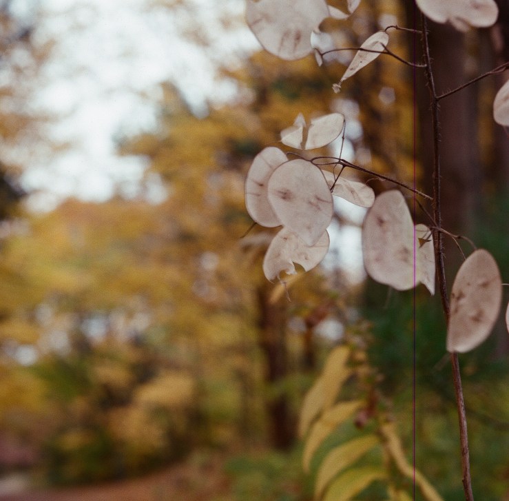 LDC_20181108_000250640004